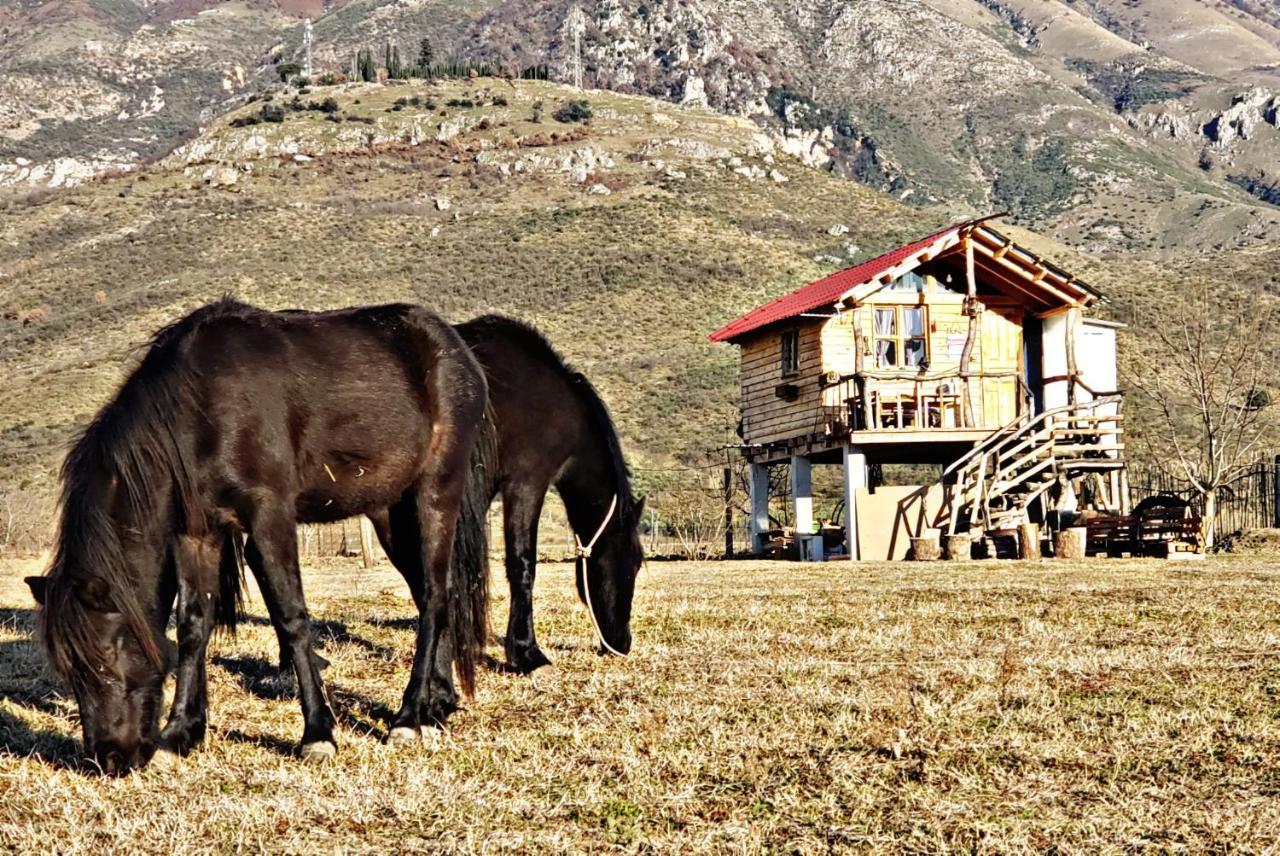 Hotel Life On The Farm Nepravishte Exteriér fotografie