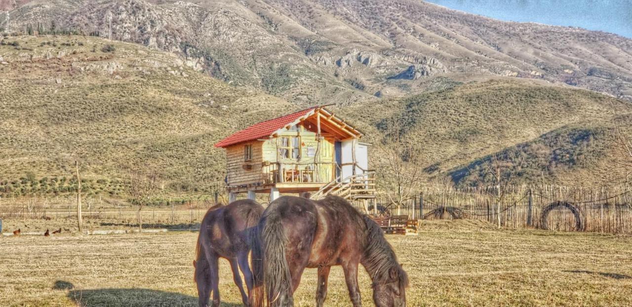 Hotel Life On The Farm Nepravishte Exteriér fotografie